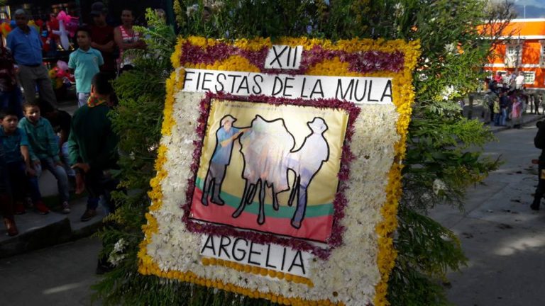 UN ÉXITO LAS XII FIESTAS DE LA MULA 2017 UN ÉXITO LAS XII FIESTAS DE LA MULA 2017