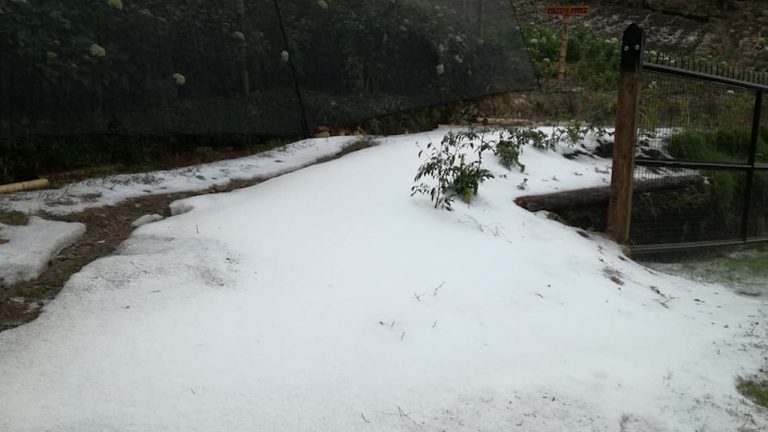 Inició el censo de afectaciones luego de granizada en La Ceja Inició el censo de afectaciones luego de granizada en La Ceja