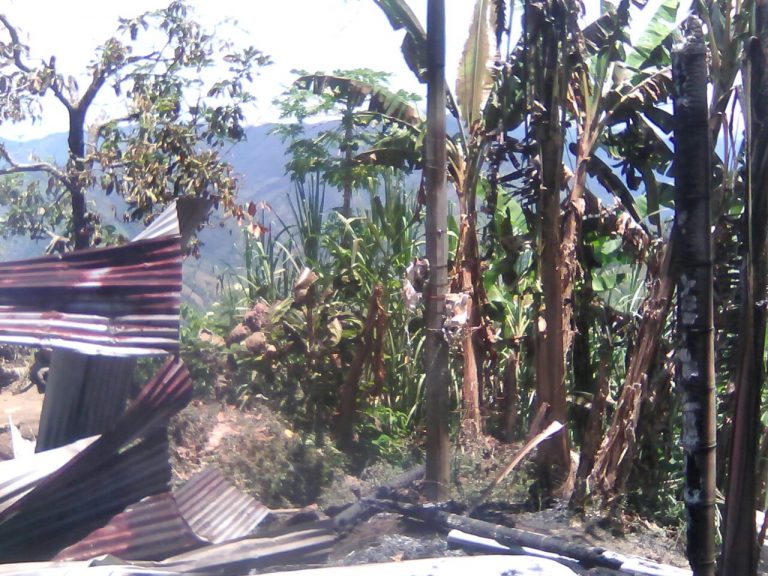 Un trapiche panelero en cenizas y una persona con quemaduras menores deja incendio en la vereda El Zafiro, Nariño Antioquia