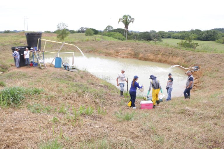 Recuperan áreas deterioradas por minería en Oriente