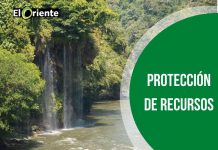 Día Mundial de la Tierra, en cuarentena