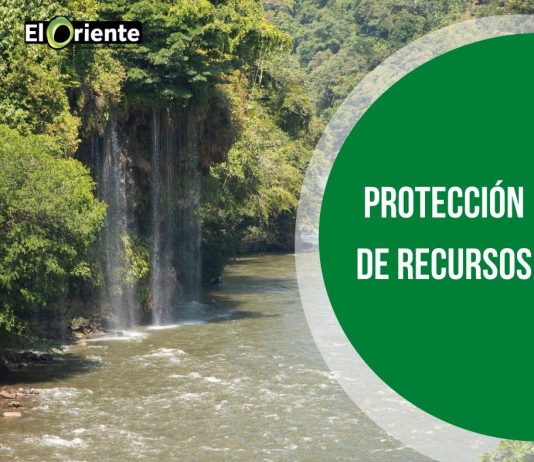 Día Mundial de la Tierra, en cuarentena