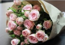 120.000 flores entregadas al sector salud