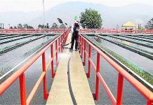 EPM garantiza prestación de servicios públicos