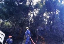 Cuerpo de Bomberos atiende incendio en el kilómetro 1 vía El Peñol