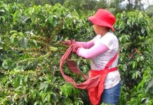 Protección para la salud e integridad de trabajadores del campo