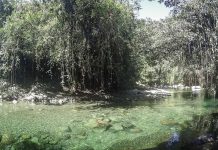 Continúa búsqueda de esposos en río Melcocho