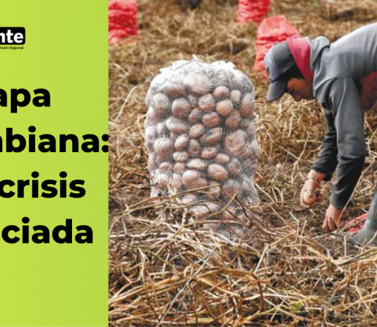 Papa colombiana: una crisis anunciada