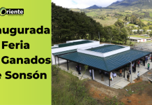 Inaugurada Feria de Ganados de Sonsón