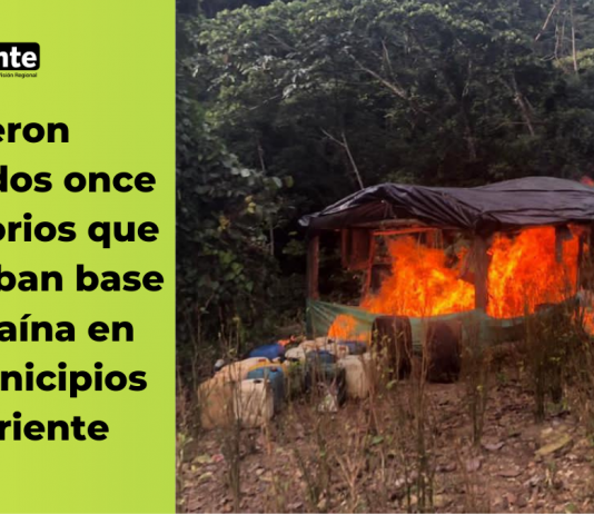 Fueron destruidos once laboratorios que procesaban base de cocaína en dos municipios del Oriente