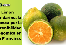 Limón mandarino, la apuesta por la sostenibilidad económica en San Francisco