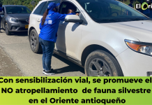 Con sensibilización vial, se promueve el NO atropellamiento de fauna silvestre en el Oriente antioqueño