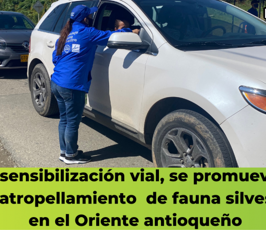 Con sensibilización vial, se promueve el NO atropellamiento de fauna silvestre en el Oriente antioqueño