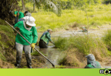 El día mundial de los humedales y las acciones de Cornare para su conservación