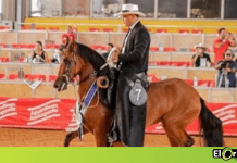 Feria Equina en Rionegro