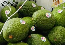 Atentos hasta el domingo se pueden inscribir en la tercera feria Agronegocios