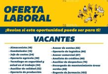 Ofertas de empleo: Revisa si esta oportunidad puede ser para ti