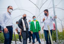 Se inauguró con éxito un invernadero de agricultura con tecnología 4.0