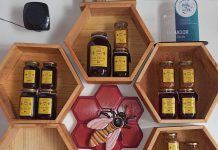 Ser profesional no es sinónimo de éxito