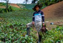 Al campo con respeto – Homenaje a los campesinos – Fotoreportaje