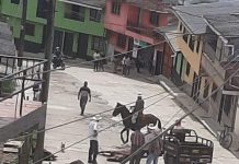 En Nariño caballo muere de manera inmediata por paro cardiaco