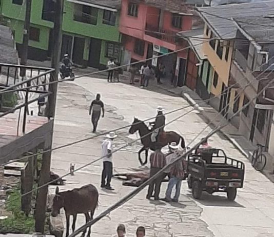 En Nariño caballo muere de manera inmediata por paro cardiaco