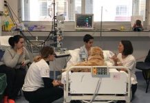 #LoÚltimo Mascotas podrán entrar a UCI