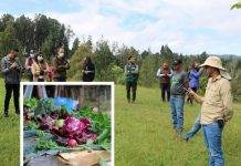 ‘Rutas de Siembra’, una apuesta para impulsar el agroturismo