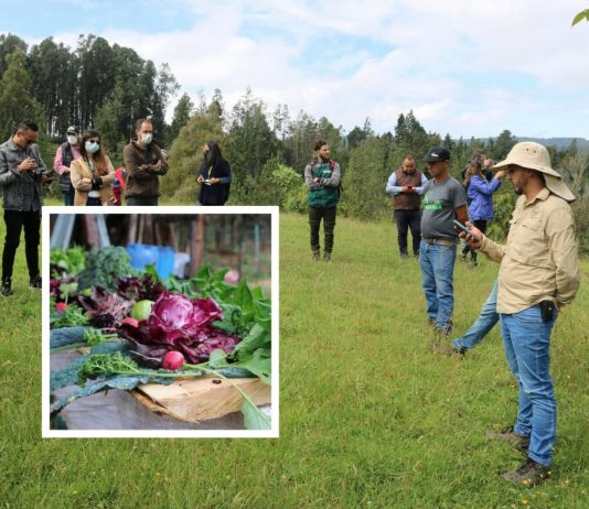 ‘Rutas de Siembra’, una apuesta para impulsar el agroturismo