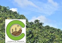 El programa de Comunicación Social de la UCO lanzará una nueva revista digital