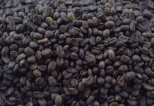 Fotoreportaje: Sin café no hay paraíso