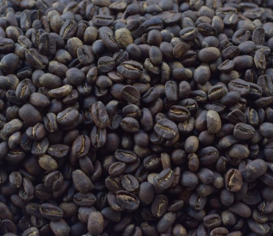 Fotoreportaje: Sin café no hay paraíso