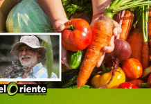 En un 50 % avanza ‘Rutas de Siembra’, proyecto que impulsa el agroturismo