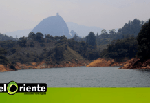 Las transferencias del sector eléctrico, un impulso a los municipios para cuidar el medio ambiente