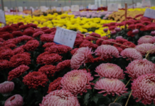 La Ceja se prepara para la cuarta edición de la Feria Agroindustrial “Cuidamos nuestro Campo”