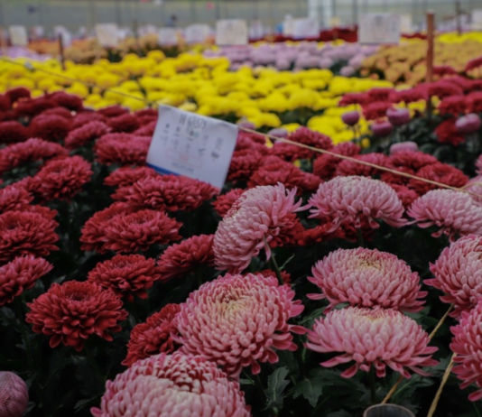 La Ceja se prepara para la cuarta edición de la Feria Agroindustrial “Cuidamos nuestro Campo”