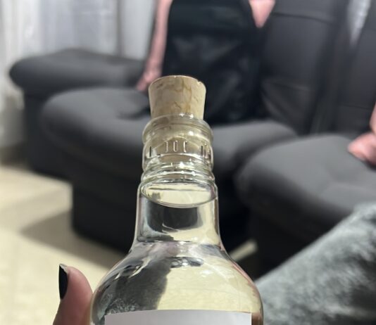 Tapetusa de la Montaña: El Alma Campesina de El Carmen de Viboral Busca su Reconocimiento