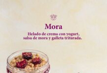 Gelato Artesanal Jersey’s: Sabor y Sostenibilidad del Oriente Antioqueño