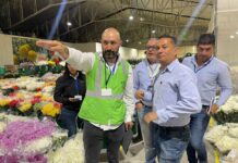 Empresas de Antioquia impulsan exportaciones de aguacate y flores con inspección en origen y mejoran competitividad internacional