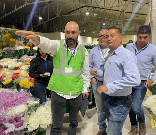 Empresas de Antioquia impulsan exportaciones de aguacate y flores con inspección en origen y mejoran competitividad internacional