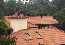 ¡Finalmente, la comunidad puede respirar tranquila! Consejo de Estado protege el ambiente frente a AVINAL