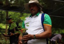 Masbosques lleva a la COP16 su modelo de Pago por Servicios Ambientales: una solución real contra el cambio climático