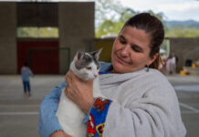 Más de 150 mascotas fueron esterilizadas en La Ceja en jornada de bienestar animal
