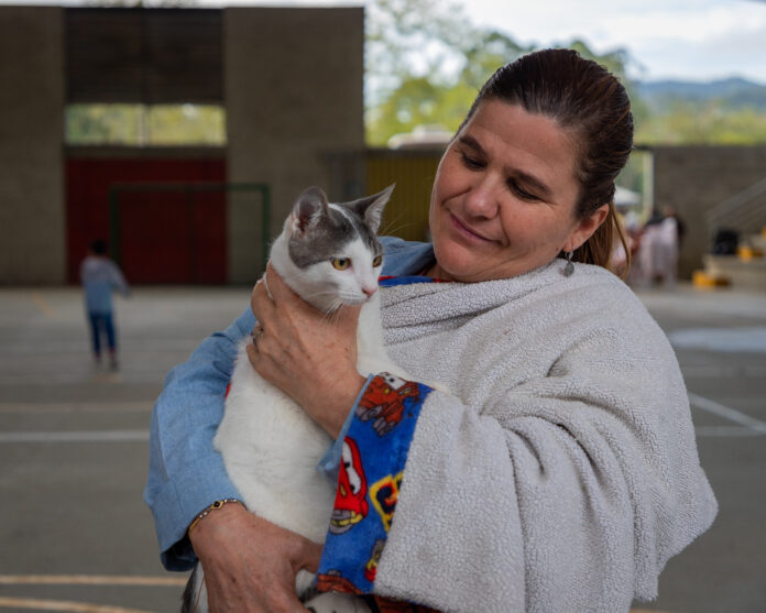 JORNADA DE ESTERILIZACION PERROS Y GATOS LA ALDEA-4