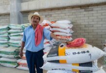 Retorno a la esperanza: Proyectos campesinos y obras impulsan el regreso de desplazados en el Oriente Antioqueño