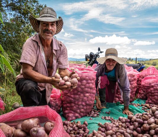 Marinilla impulsa la innovación agrícola con el cierre del proyecto Escuelas de Campo