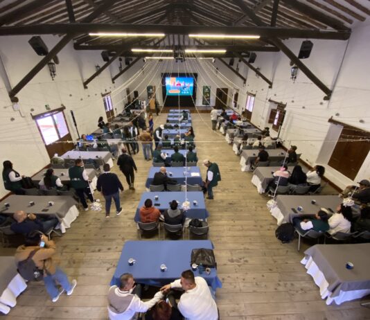 Antioquia avanza en la conservación ambiental con más de 7.500 familias en el programa Pago por Servicios Ambientales