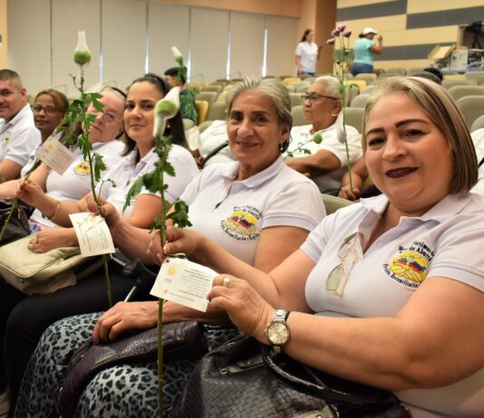 25 de Noviembre, Día Internacional de la eliminación de la violencia contra la mujer: Honremos la valentía de las mujeres víctimas del conflicto armado en Colombia