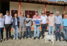 Marinilla reduce homicidios un 40% y refuerza seguridad con alarmas inteligentes en barrios y veredas