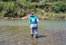 Preocupante mortandad de peces en el río Nus: Cornare intensifica investigaciones